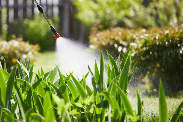 24/7 Emergency Fumigation Services experts in Maysville, MO